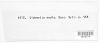 Didymella media image